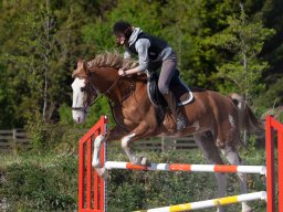 IMG_0656_web